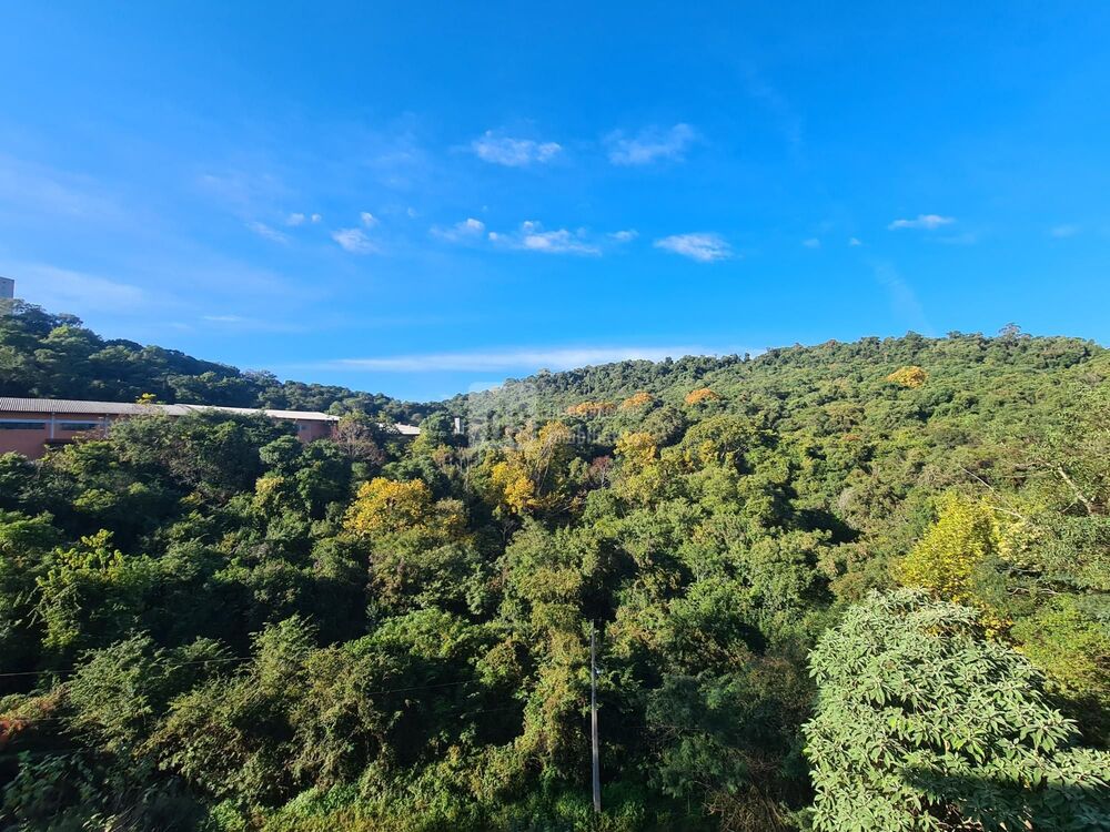 Casa, 4 quartos, 80 m² - Foto 7