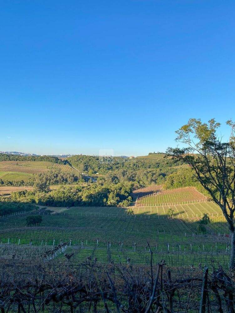 Terreno, 2 hectares - Foto 1