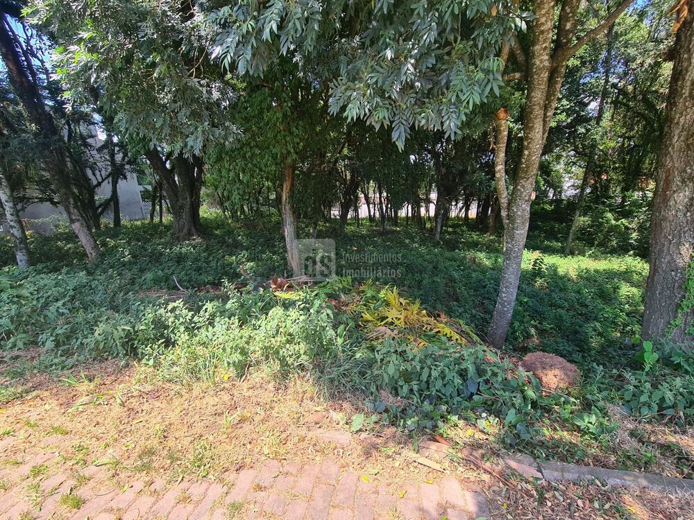 Terreno, 736 m² - Foto 1