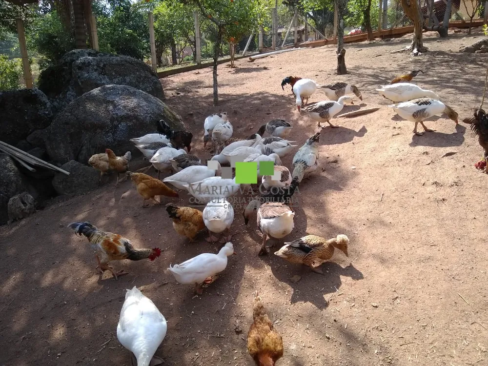 Fazenda, 6 quartos - Foto 7