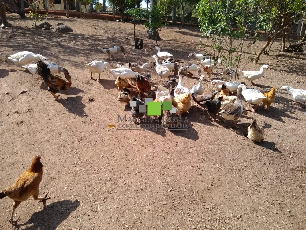 Fazenda, 6 quartos - Foto 6