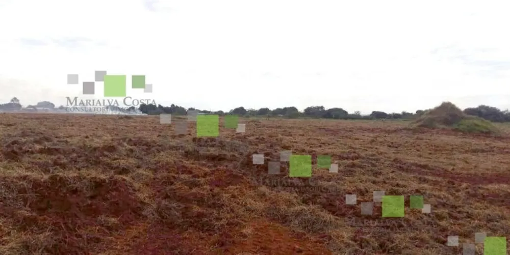 Terreno, 10 hectares - Foto 1