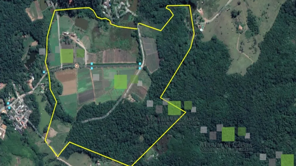 Terreno, 48 hectares - Foto 1