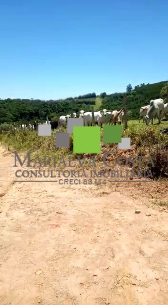 Fazenda, 8 quartos - Foto 7