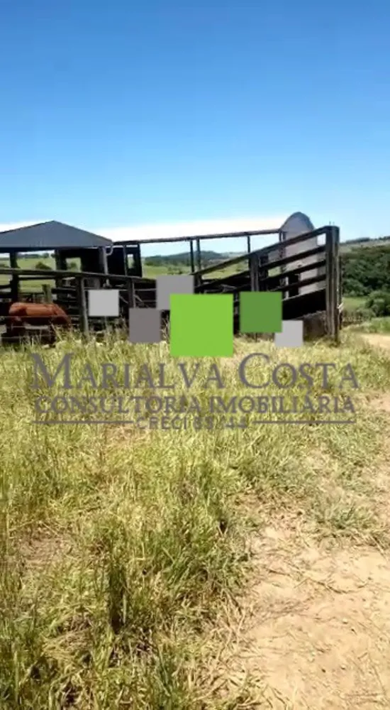 Fazenda, 8 quartos - Foto 11