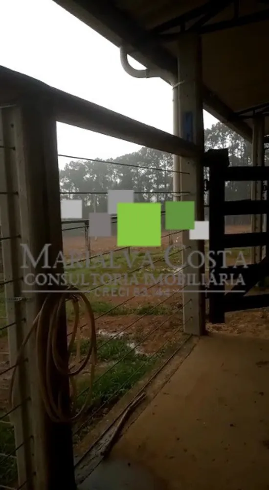 Fazenda, 8 quartos - Foto 10