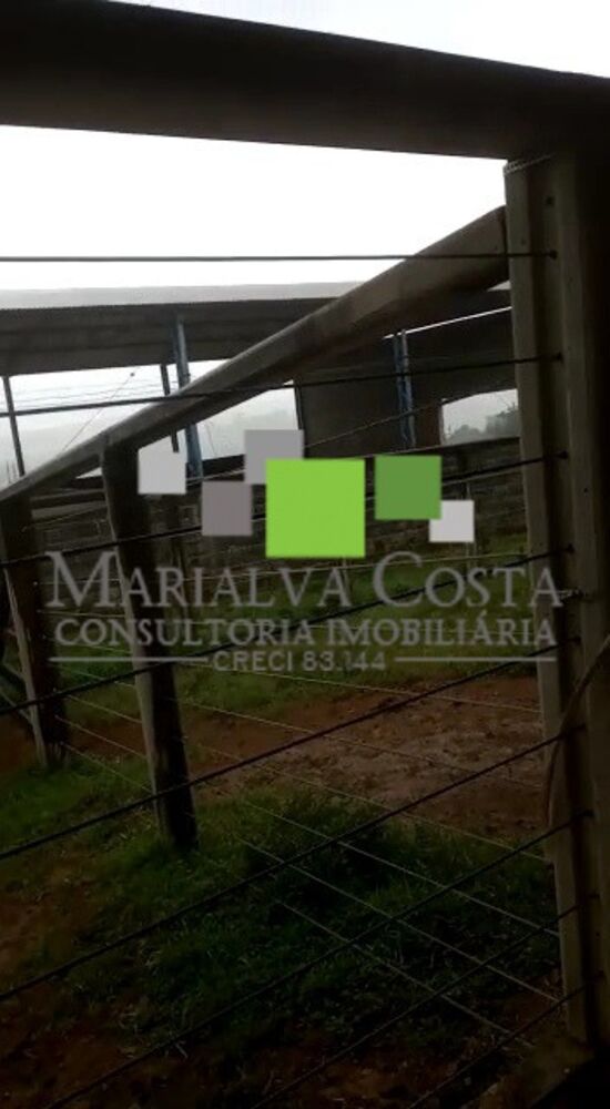 Fazenda, 8 quartos - Foto 2