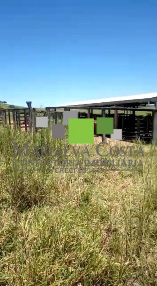 Fazenda, 8 quartos - Foto 4