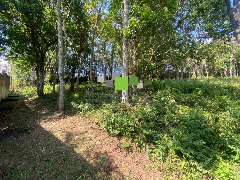 Terreno - Foto 5