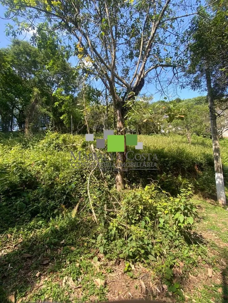 Terreno - Foto 7