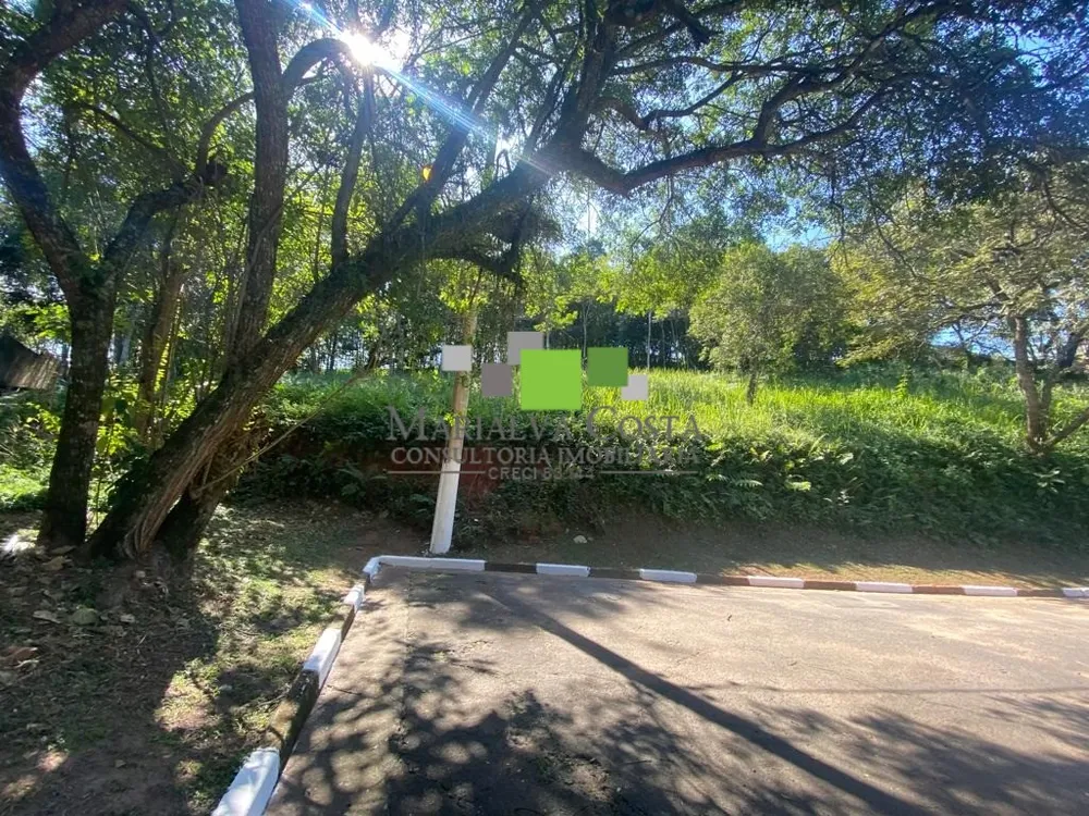 Terreno - Foto 2