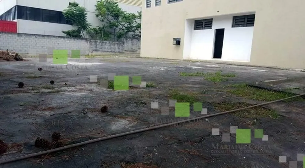 Depósito-Galpão - Foto 5