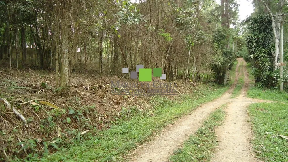 Terreno - Foto 1