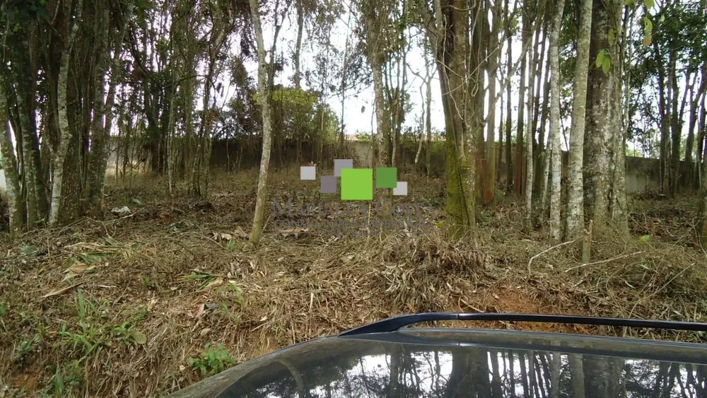 Terreno - Foto 3
