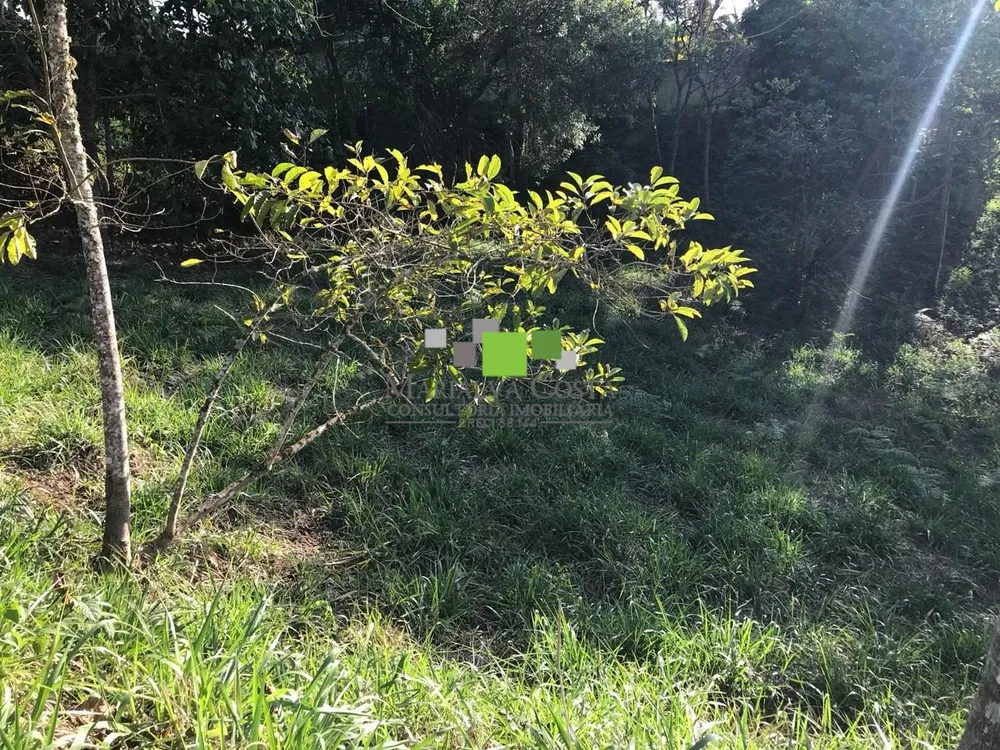 Terreno - Foto 12