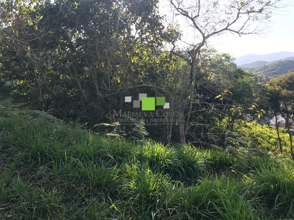 Terreno - Foto 5