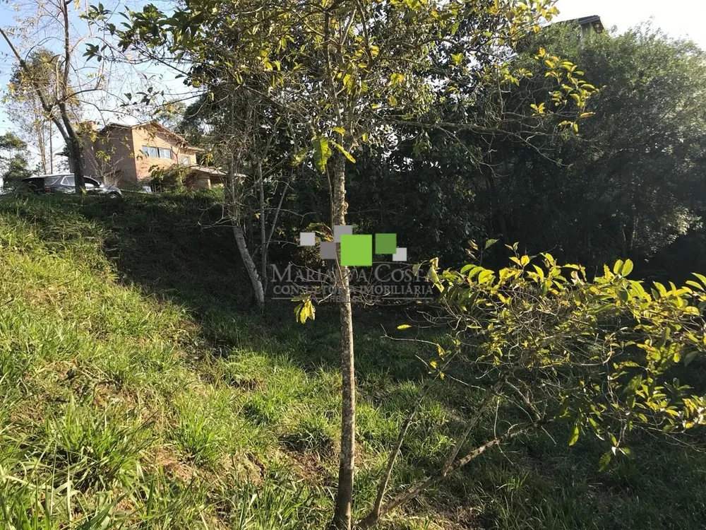 Terreno - Foto 9