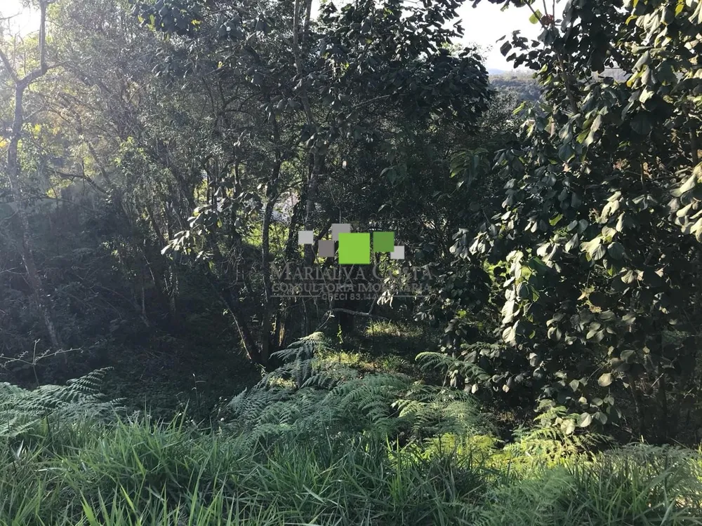 Terreno - Foto 4