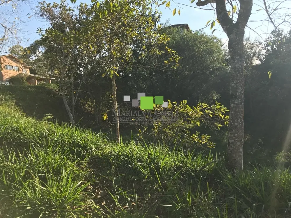 Terreno - Foto 6