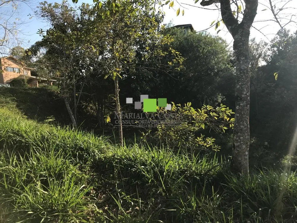 Terreno - Foto 8