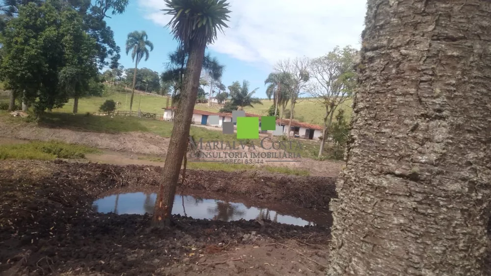 Fazenda à venda com 8 quartos - Foto 1