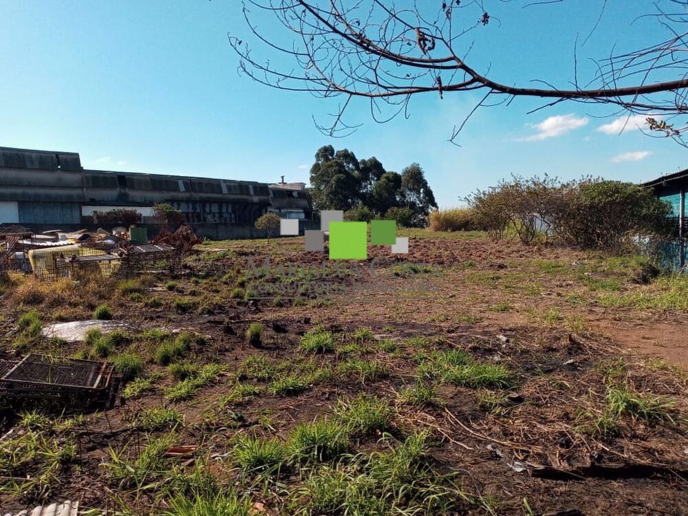Terreno, 5050 m² - Foto 7