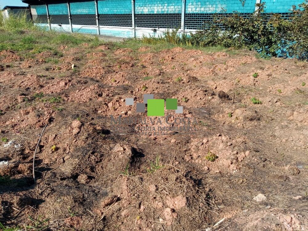 Terreno, 5050 m² - Foto 6