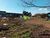 Terreno, 5050 m² - Foto 2