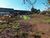 Terreno, 5050 m² - Foto 3
