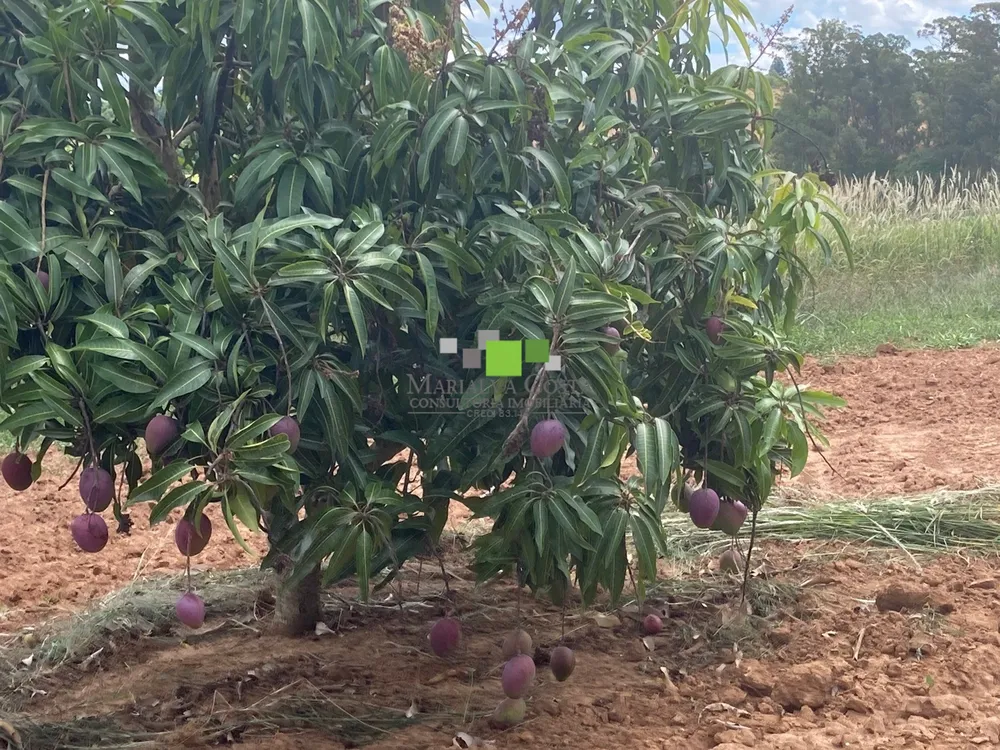 Fazenda, 9 quartos - Foto 7