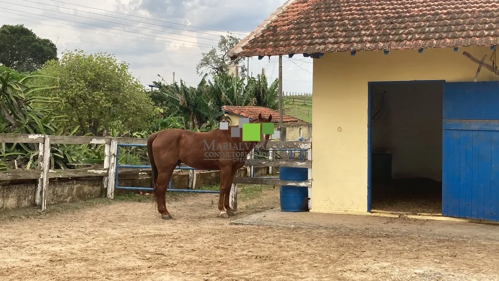 Fazenda, 9 quartos - Foto 4