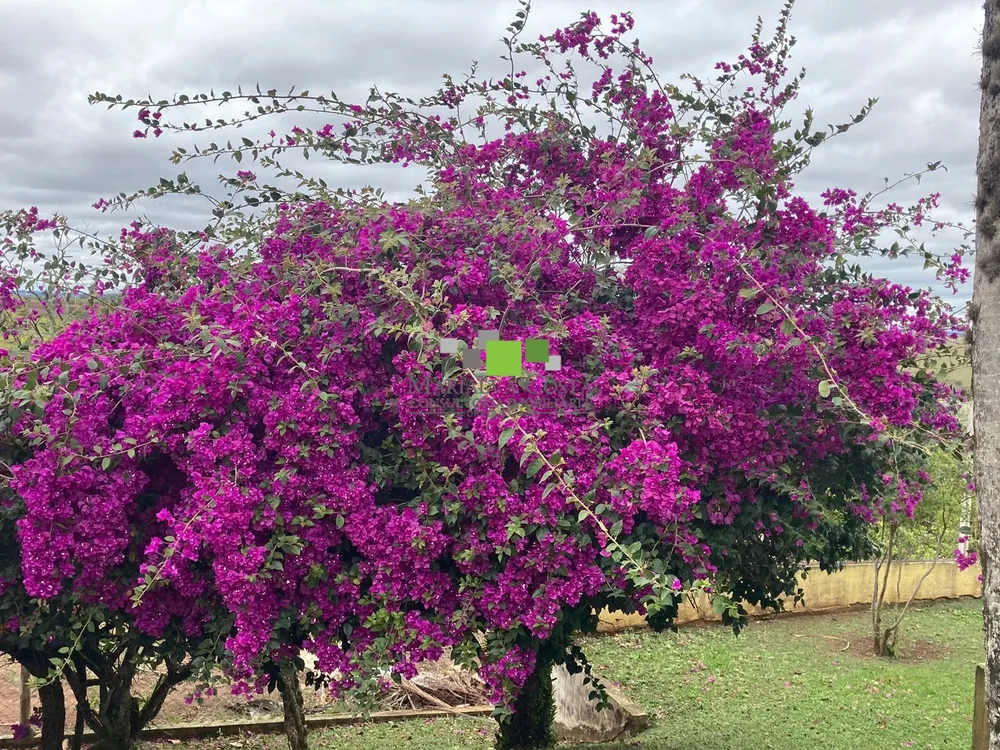 Fazenda, 9 quartos - Foto 16