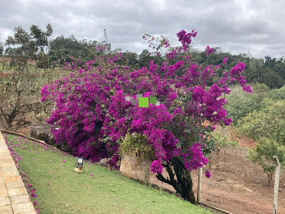 Fazenda, 9 quartos - Foto 15