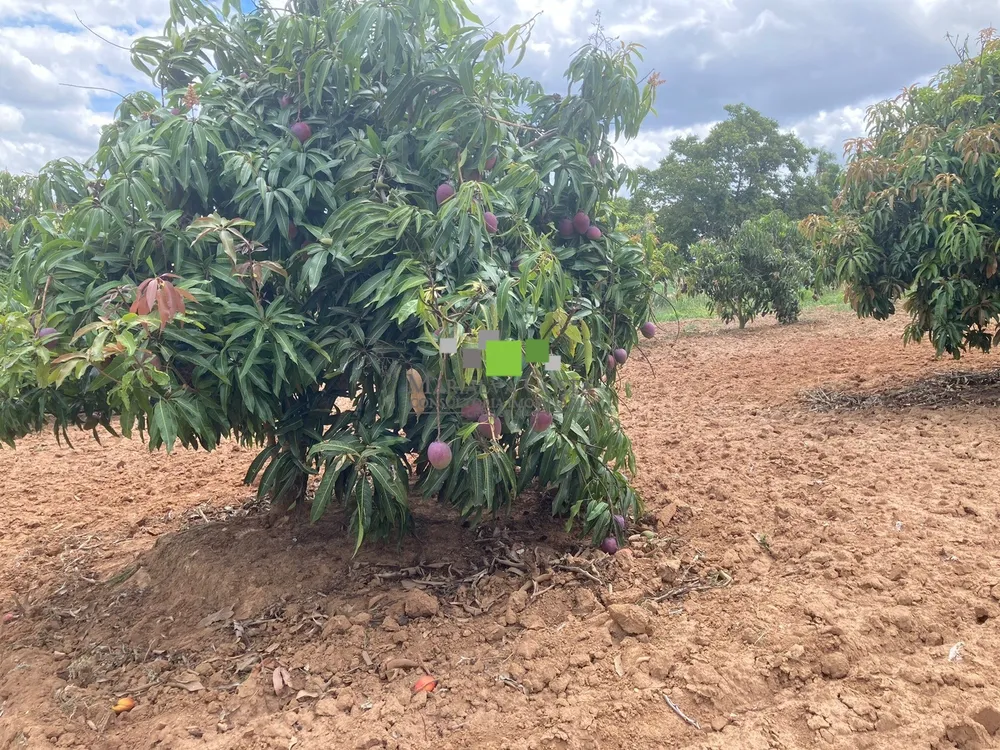 Fazenda, 9 quartos - Foto 6