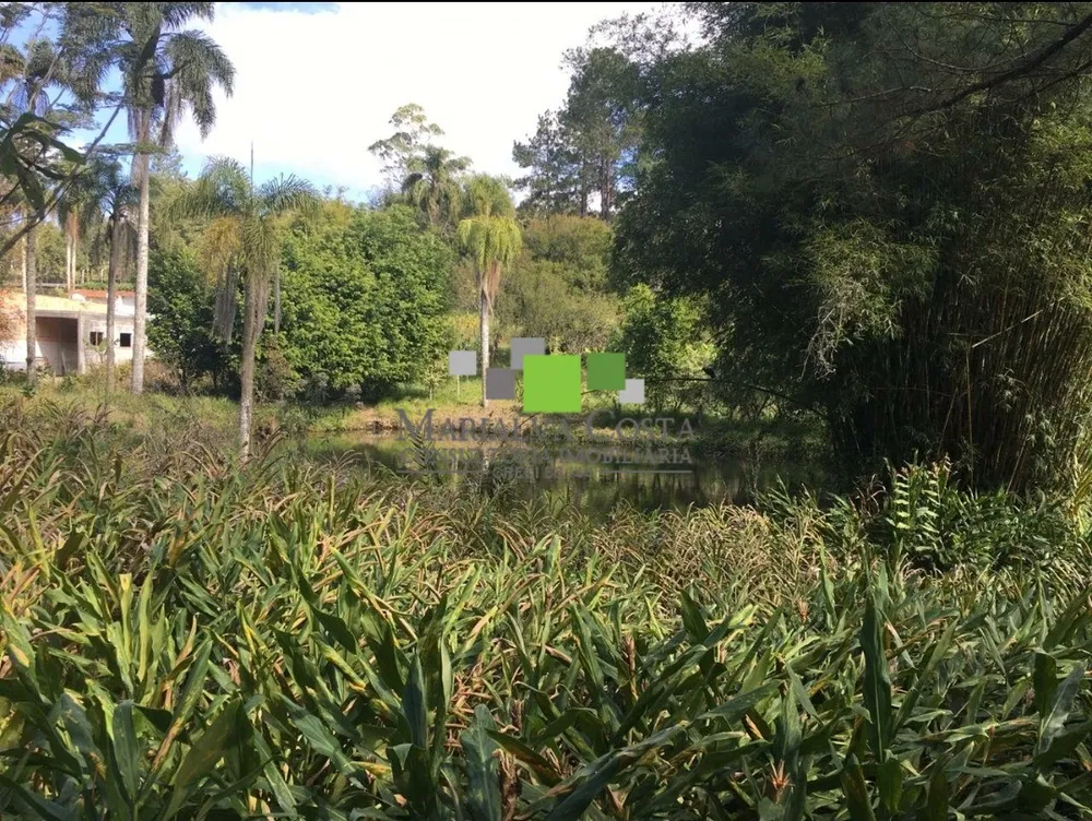 Terreno - Foto 5