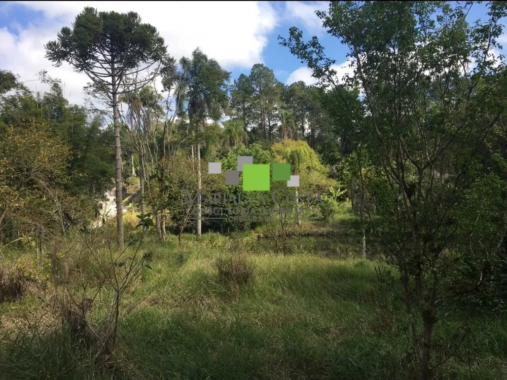 Terreno - Foto 4