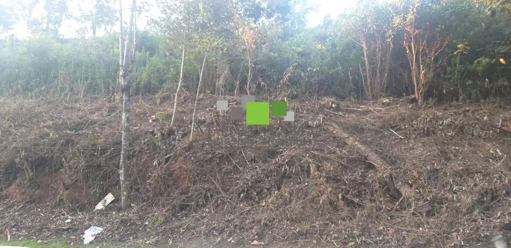 Terreno - Foto 4