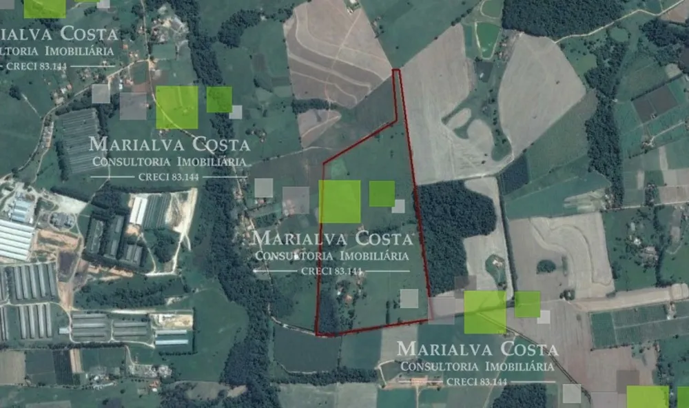 Sítio, 2 quartos, 350900 m² - Foto 9