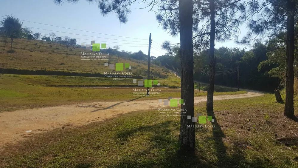 Terreno, 64 hectares - Foto 6