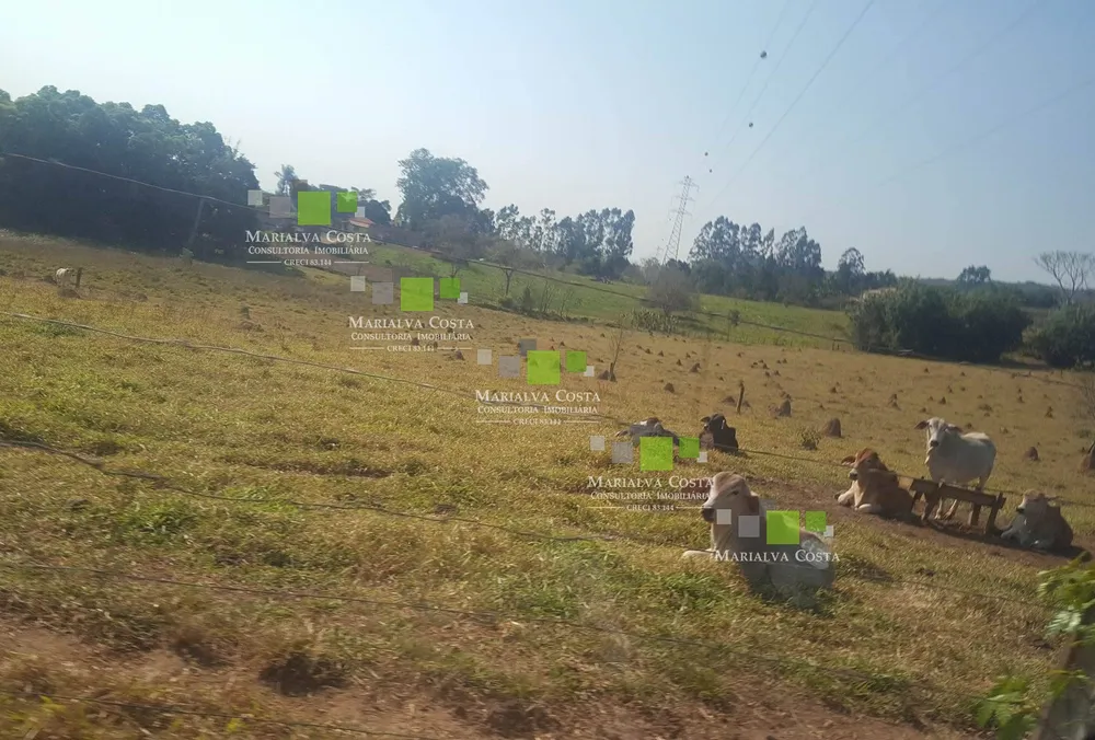 Terreno, 64 hectares - Foto 4