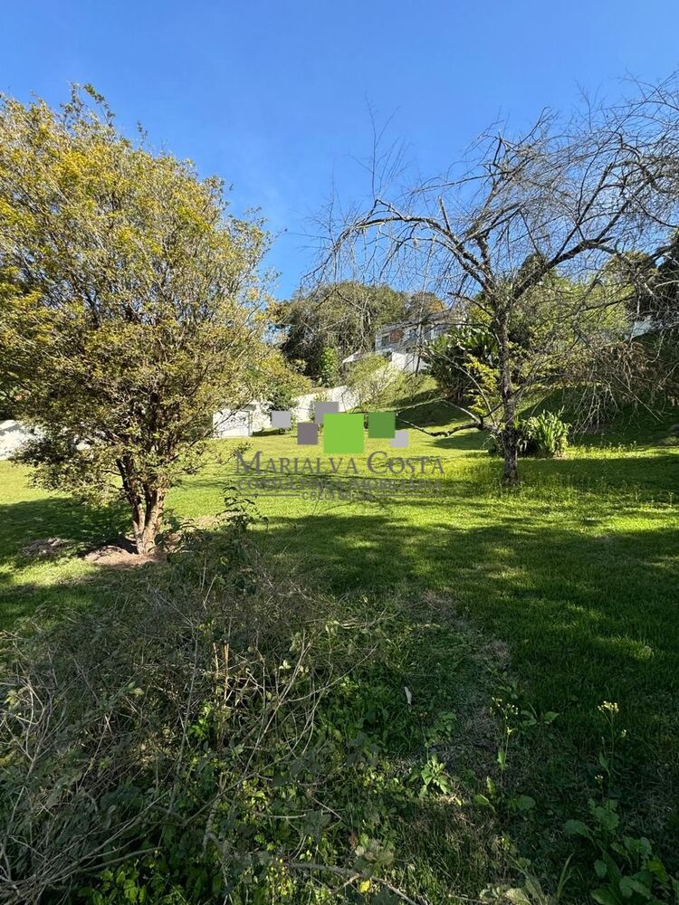 Terreno - Foto 6