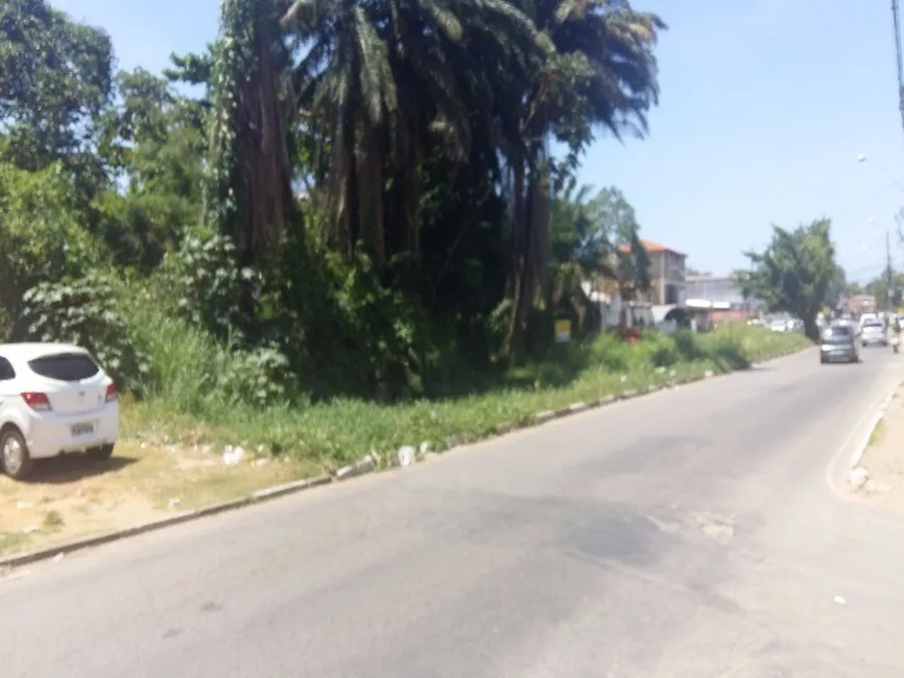 Loteamento e Condomínio - Foto 3