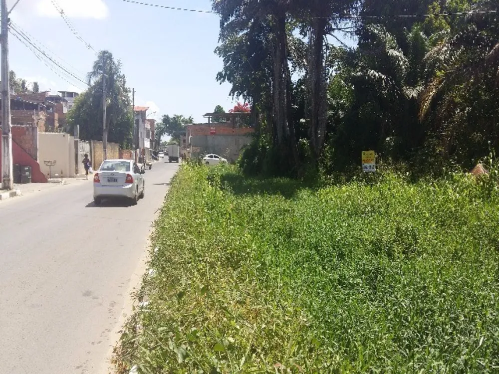 Loteamento e Condomínio - Foto 1