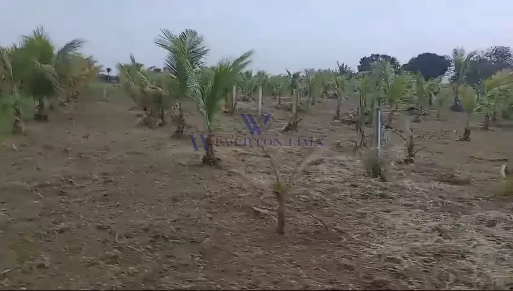 Terreno, 1000 m² - Foto 4