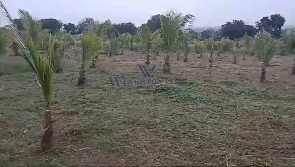 Terreno, 1000 m² - Foto 9