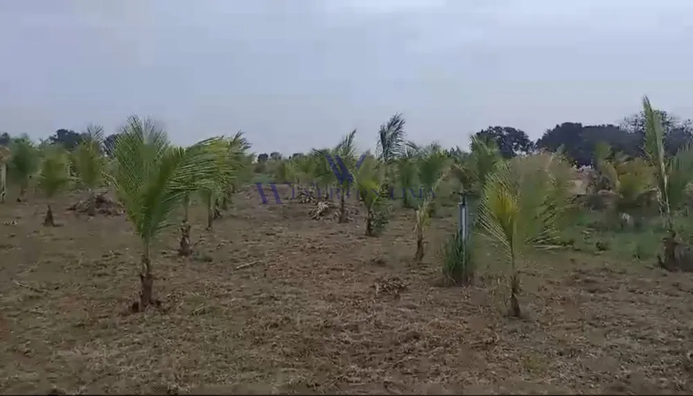 Terreno, 1000 m² - Foto 3