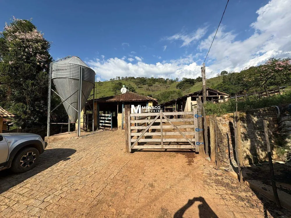 Fazenda, 106 hectares - Foto 3
