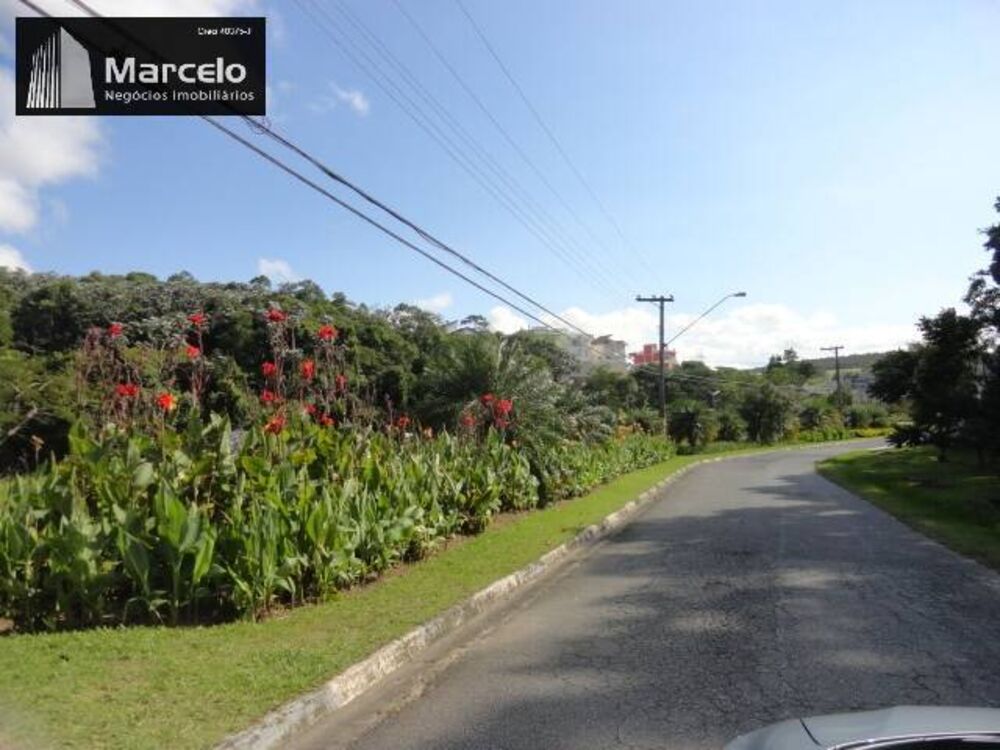 Terreno, 360 m² - Foto 3