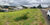 Terreno, 982 m² - Foto 1