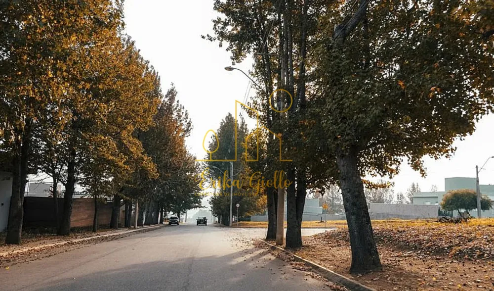 Terreno, 1000 m² - Foto 7